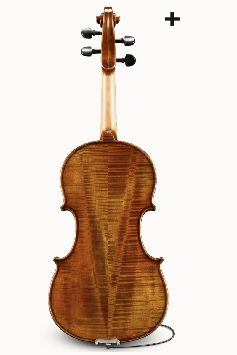 Andreas Eastman Series+ VL405+ VIOLIN — Vermont Violins